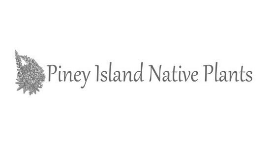 Piney Island Native Plants logo