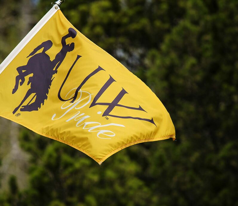 University of Wyoming flag
