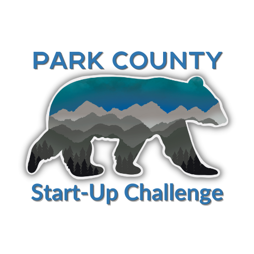 Start-Up Challenges – IMPACT 307